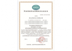 职业健康安全管理