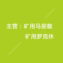 矿用罗克休,矿用马丽散,矿用加固材料,无机加固材料